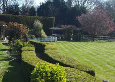 garden